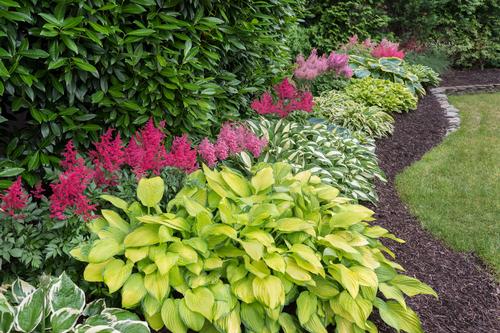 design-tips-for-shady-gardens-1.jpg