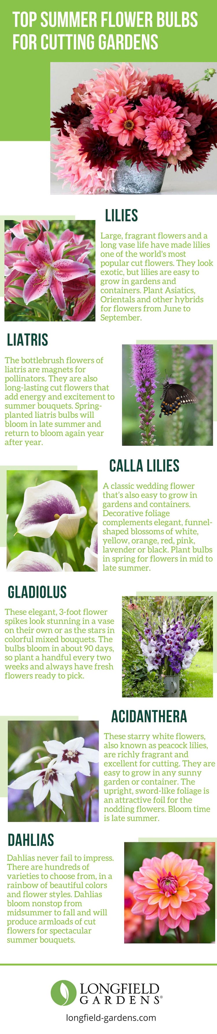 top-summer-bulbs-for-cutting-gardens1.jpg