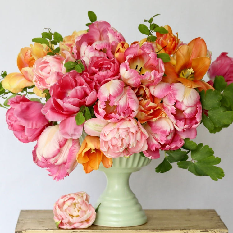 Tulip Flirty Fleurs Dauphine Collection