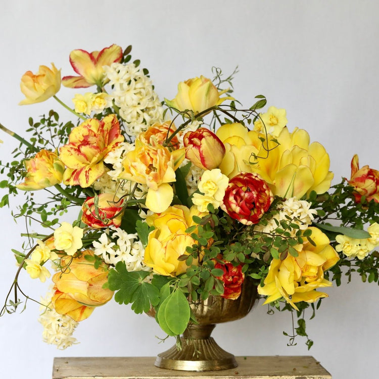 A collection of yellow spring-blooming flowers, including tulips Akebono and Sundowner, hyacinth City of Haarlem and daffodil Yellow Cheerfulness.
