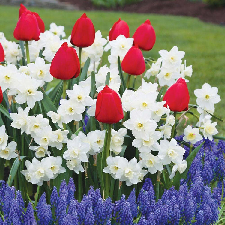 Assorted Spirited Spring Collection