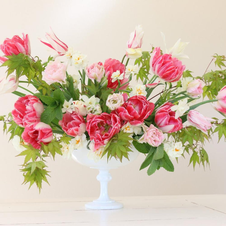 Assorted Flirty Fleurs Nottingham Collection