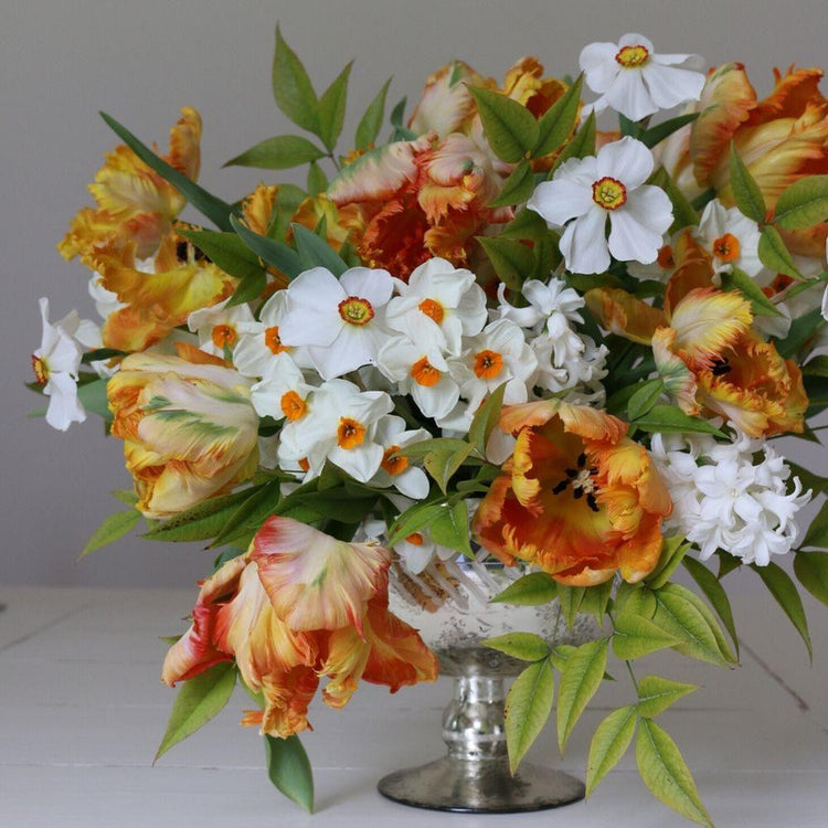 A large fresh flower arrangement featuring tulips, daffodils and hyacinths in white and orange.