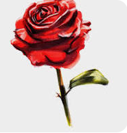 BC to Shopify test AEE