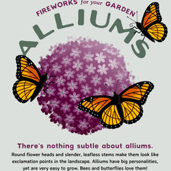 Planning Guide for Alliums