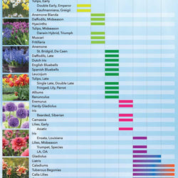 Bloom Time Chart for Spring and Summer Bulbs