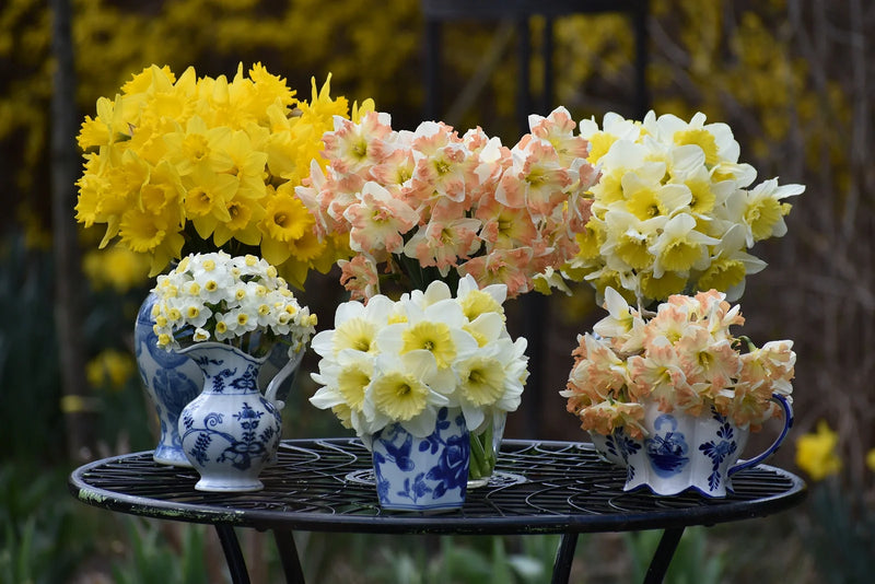 Best Companion Plants: What to Plant Next to Daffodils