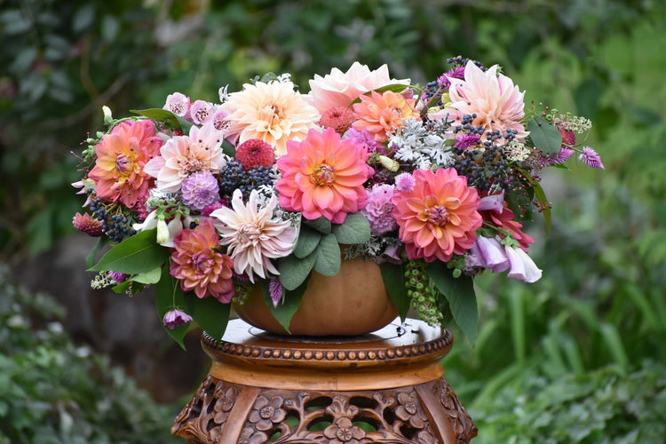 Dahlia Flower Forms for the garden and vase Longfield Gardens