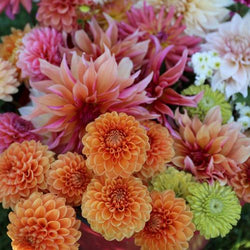 How to Design a Cutting Garden