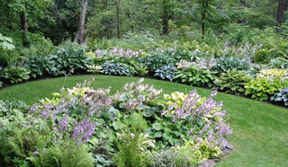 How To Get Creative With Hostas