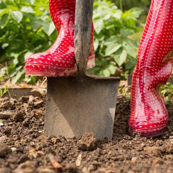 How To Prepare Soil for Planting