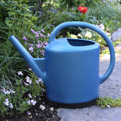 How to Water Your Plants