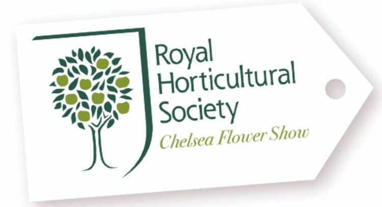 The Chelsea Chop How and Why to Prune Perennials - Longfield Gardens