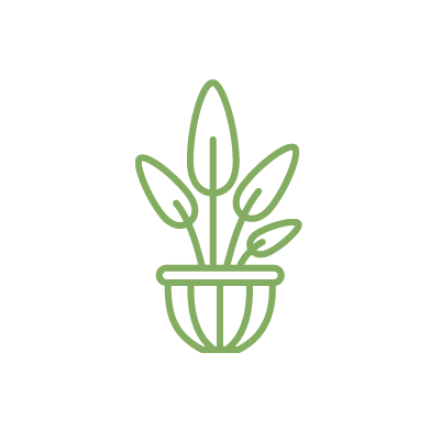 Perennial Plants for Containers