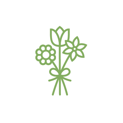 Perennial Plants for Cut Flowers