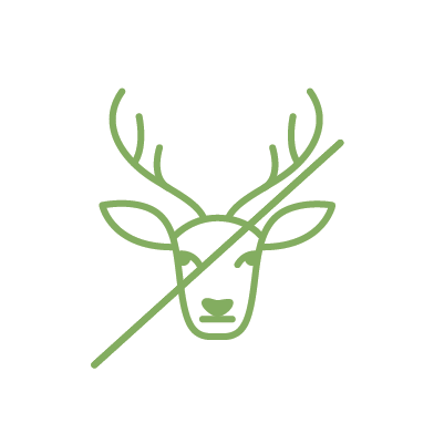 Deer Resistant Spring Planted Bulbs