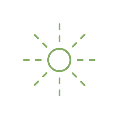 Perennial Plants for Sun