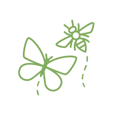 Spring Planted Bulbs to Attract Butterflies