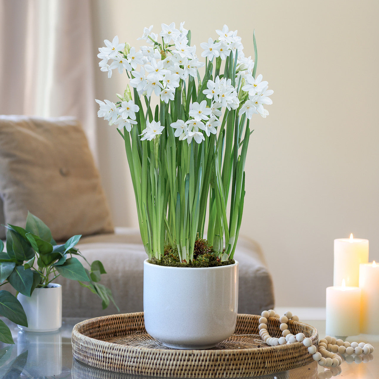 04_BC_Paperwhite__60529.