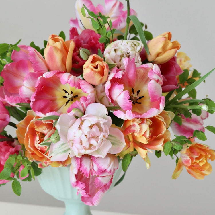 A collection of five single and double tulips in shades of pink and peach, including Silver Parrot, Charming Beauty, Apricot Foxx, Finola and Vogue.