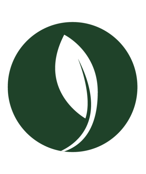 Shop All Fall Planted Bulbs