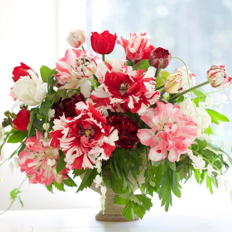 Flirty Fleurs Jubilee tulip collection in a vase, featuring the red and white tulip varieties White Parrot, Carnaval De Nice, Bastogne, Midnight Magic, Estella Rijnveld, and Cartouche.