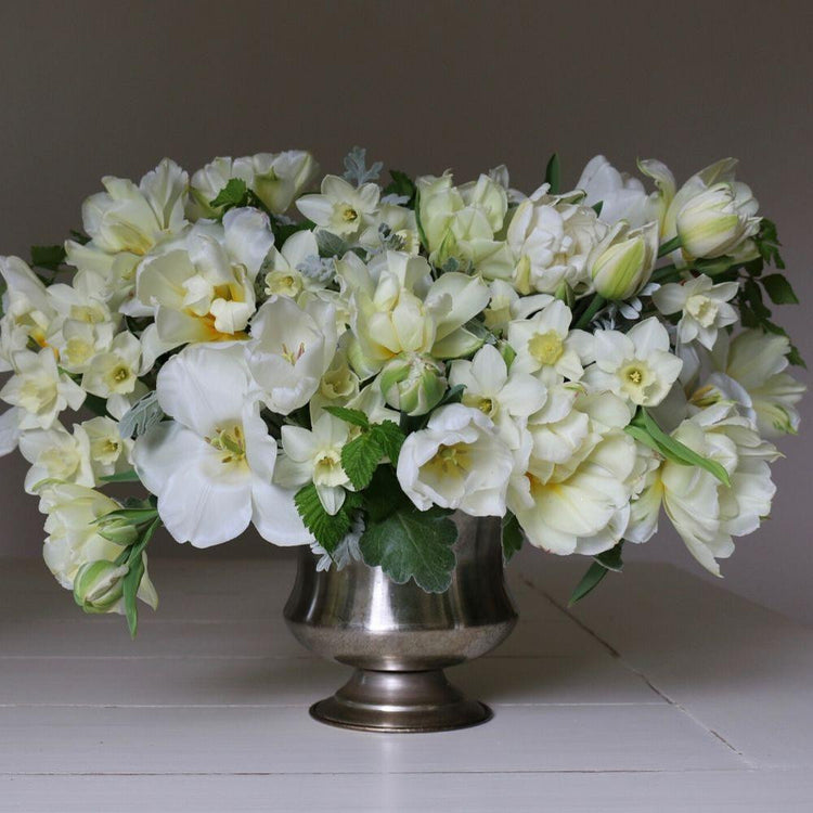 Assorted Flirty Fleurs Victoria Collection