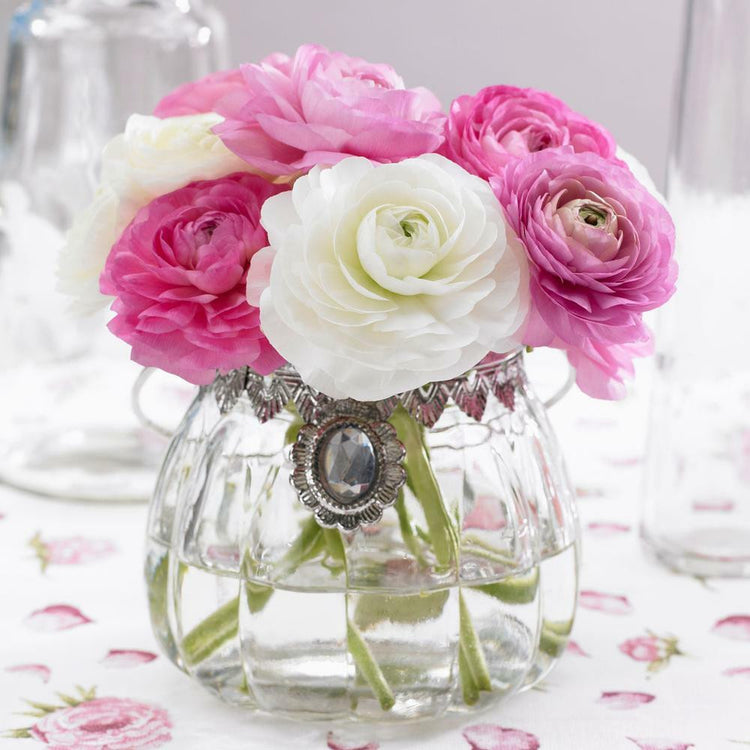 Ranunculus Tomer Pink & White (Spring)