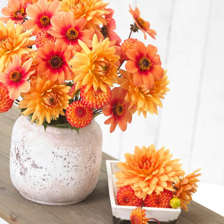 A bouquet of three types of orange and gold dahlias in a white vase.
