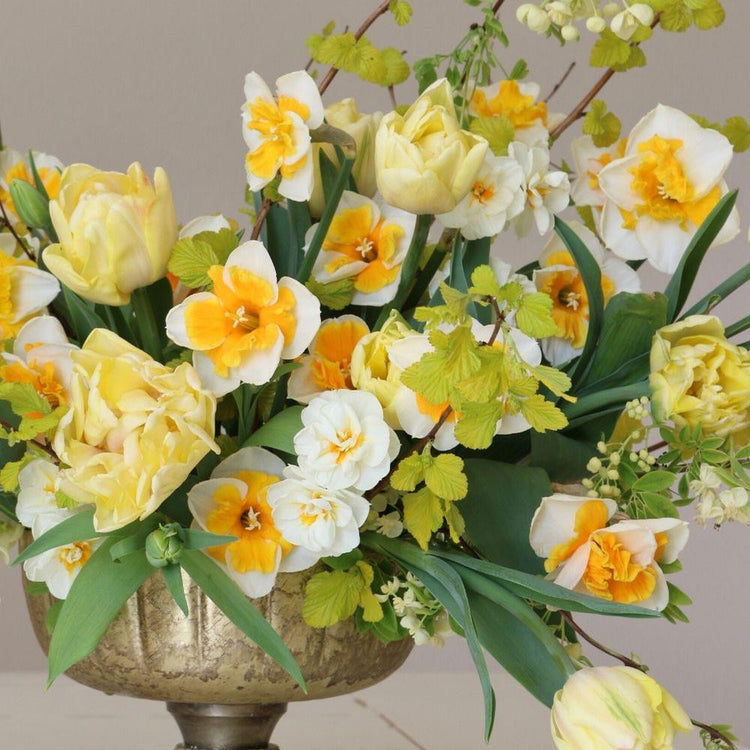 An abundant spring flower arrangement featuring yellow double tulips, white and orange daffodils and white daffodils.