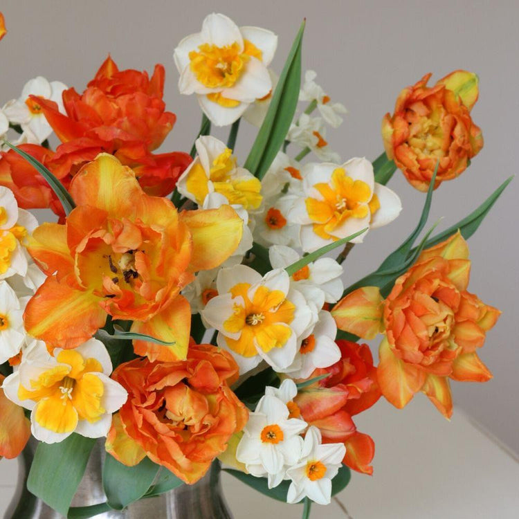 Close up of a lush, springtime flower arrangement that includes daffodils and tulips with white or orange petals.