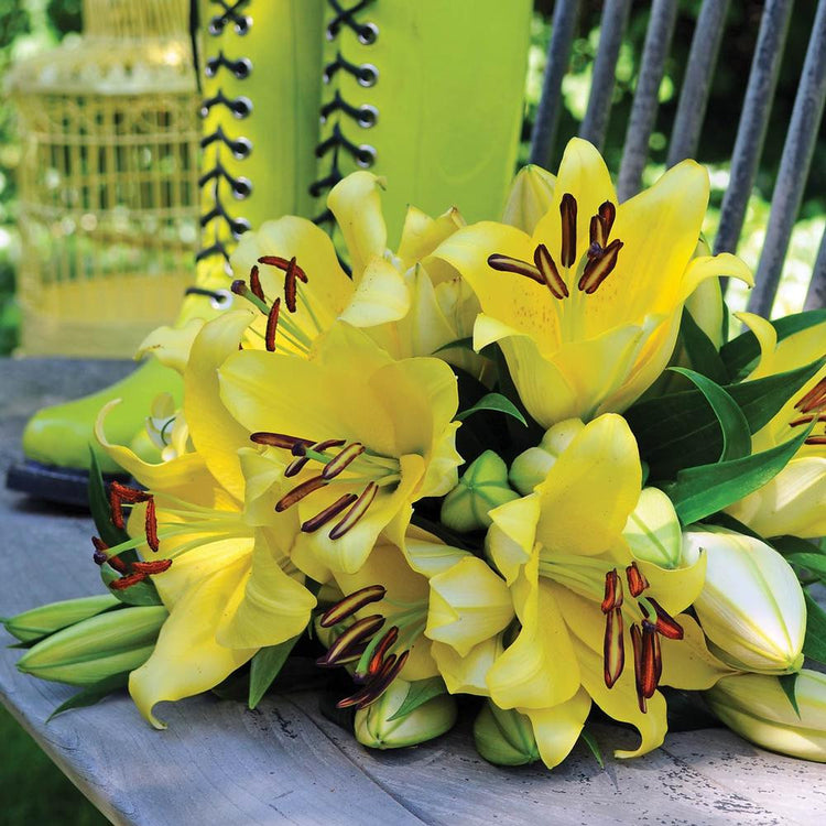 A bouquet of yellow Oriental trumpet lilies lying on a wooden table, featuring the variety Yelloween.