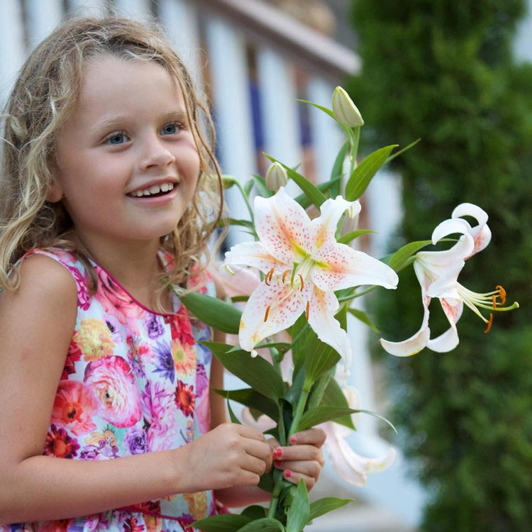 Oriental lily Salmon Star being held by a young girl to show the large size of the flower.