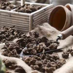 Anemone De Caen Black Eye & Bordeaux (Spring)