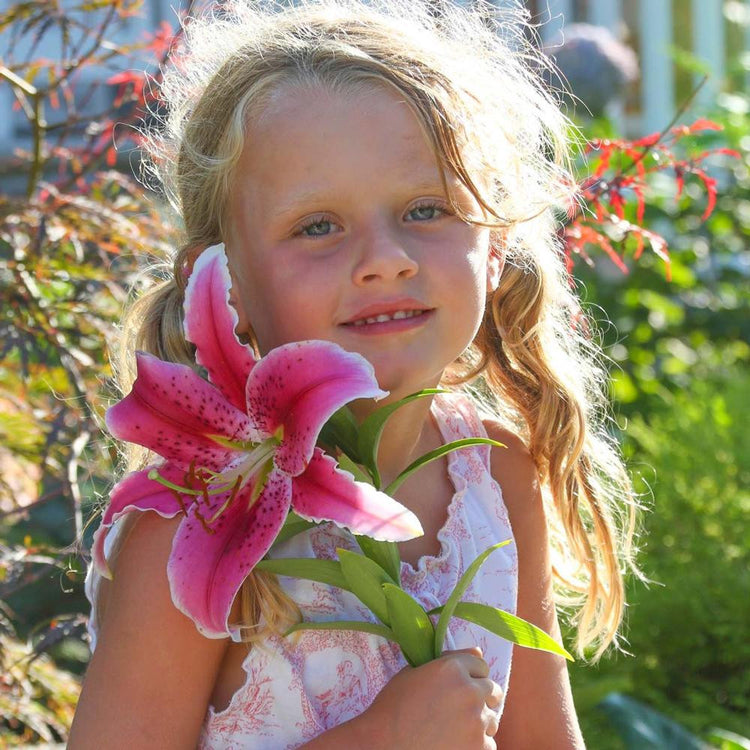 A single blossom of Oriental lily Stargazer, being held by a young girl to show size relationship.