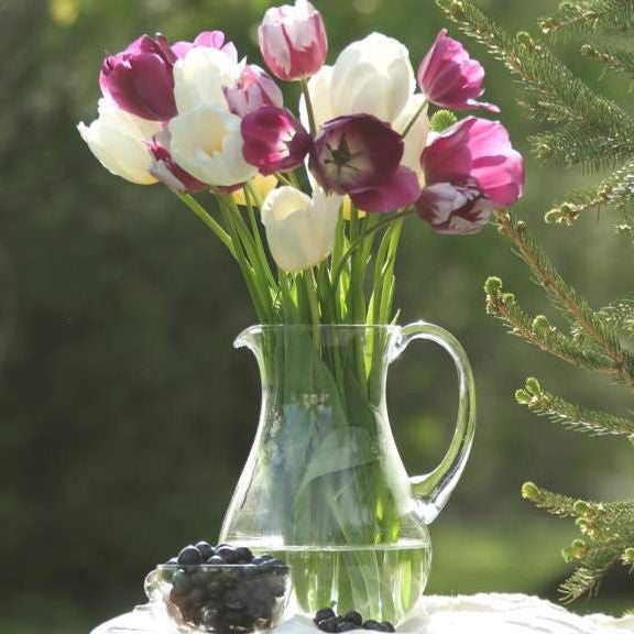 A bouquet of Triumph tulips in a glass pitcher, featuring the varieties Pays Bas, Purple Flag and Flaming Flag.