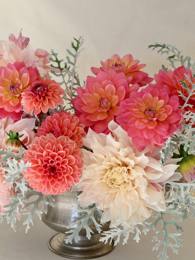 Summer Blooming Collections