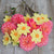 Assorted Dahlias