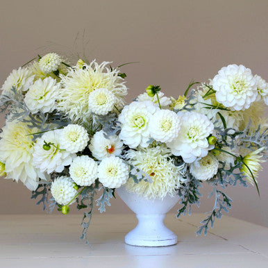 Dahlia Assorted Flirty Fleurs Lucerne Collection - 8 tubers