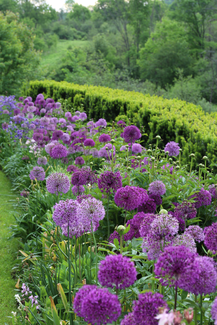 Longfield Gardens