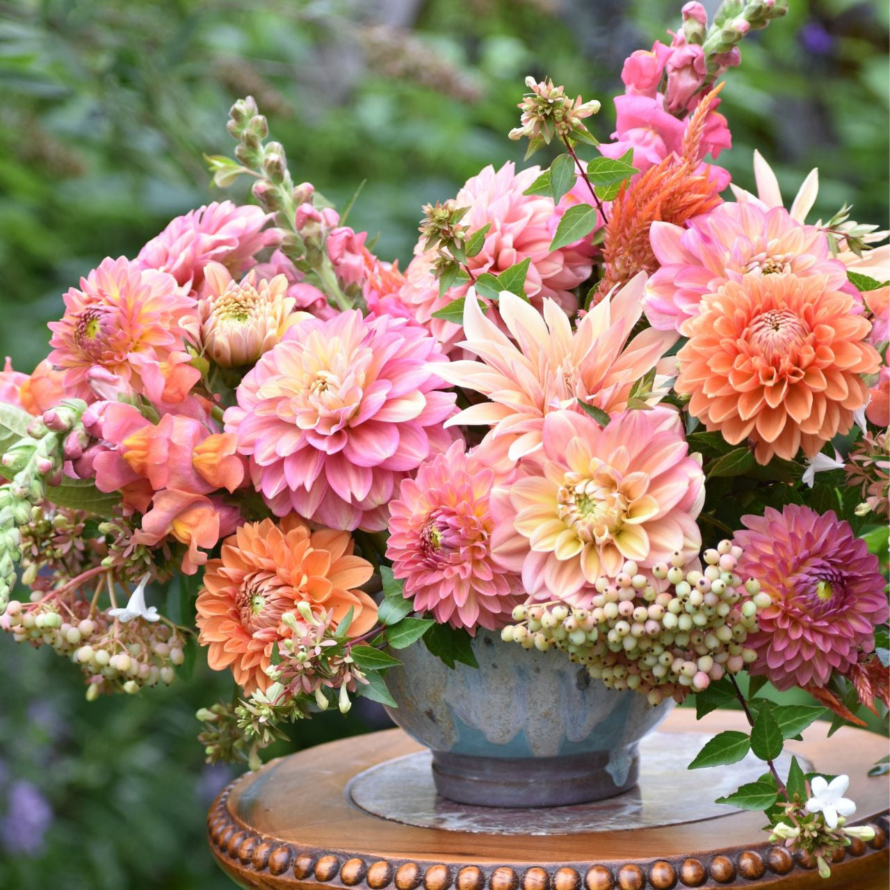 Dahlia Ball Maarn - 2 tuber clumps - Longfield Gardens