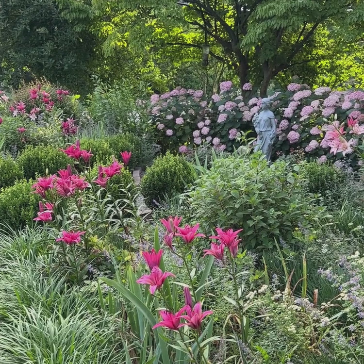 Longfield Gardens