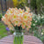 Daffodil Split Corona Cum Laude